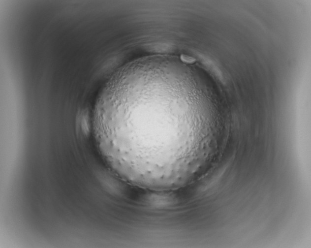 X0000110910069200906251406