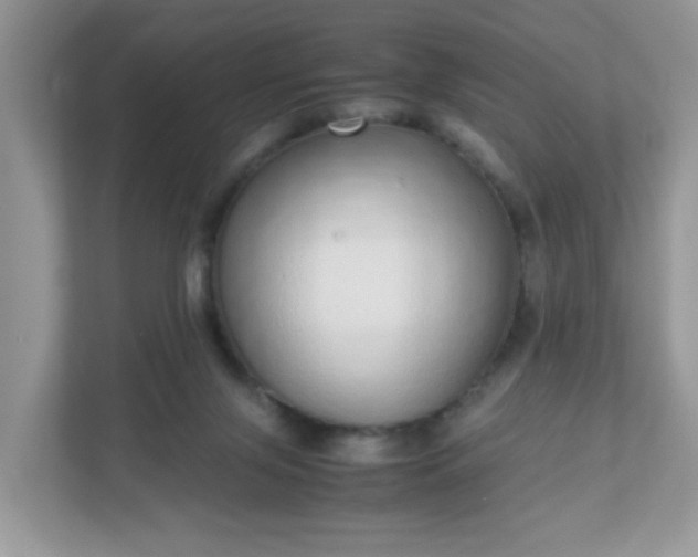 X0000110910071200906251406