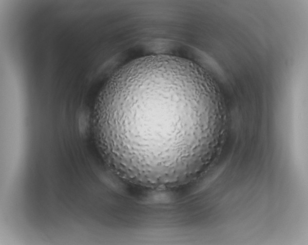 X0000110910073200906251406