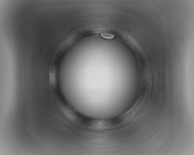 X0000110910074200906251406