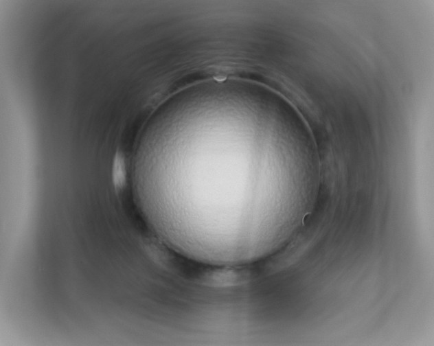 X0000110910075200906251406