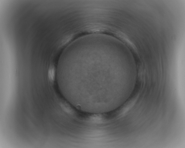 X0000110910076200906251406