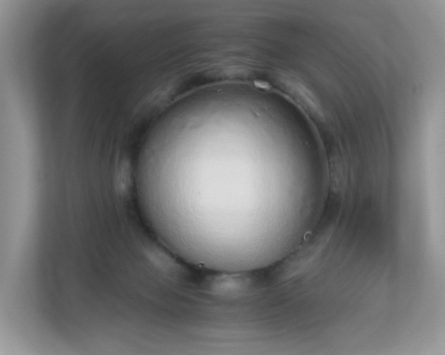 X0000110910077200906251406