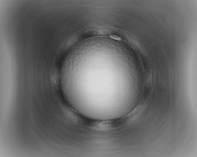 X0000110910078200906251406