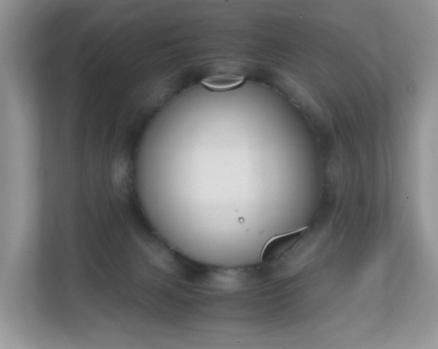 X0000110910079200906251406