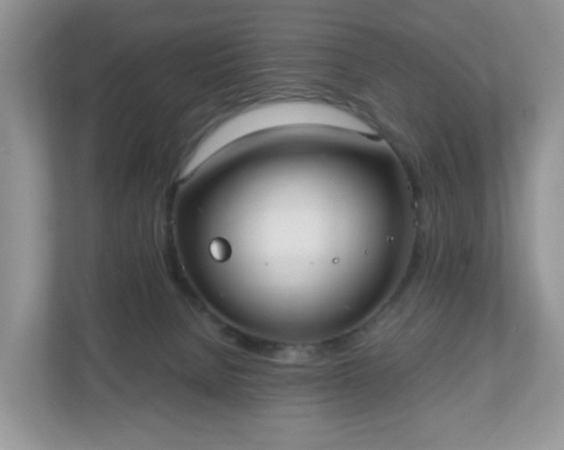 X0000110910080200906251406