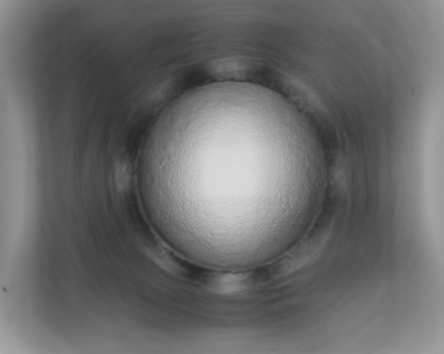 X0000110910081200906251406