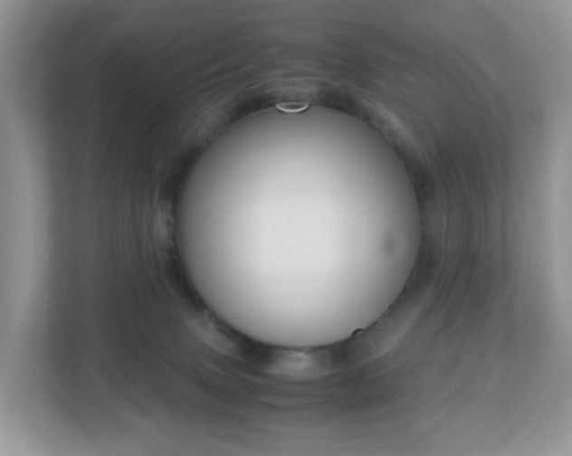 X0000110910083200906251406