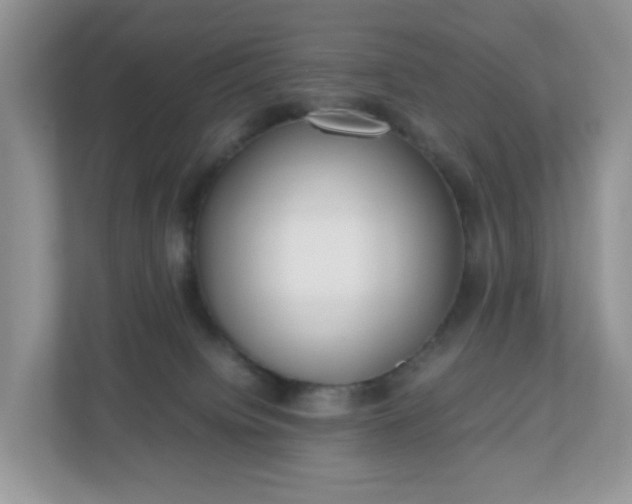 X0000110910084200906251406