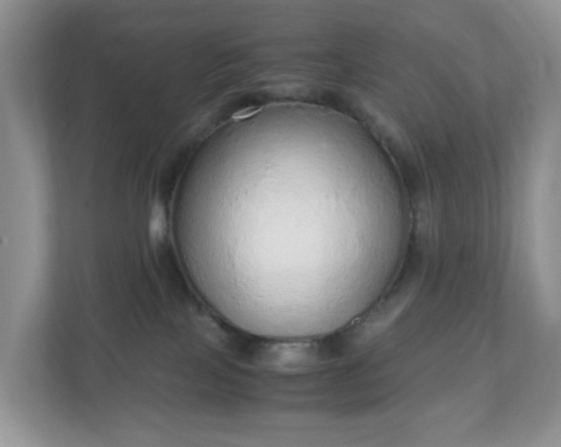 X0000110910089200906251406