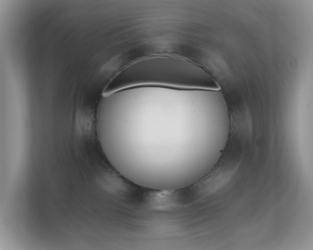 X0000110910092200906251407