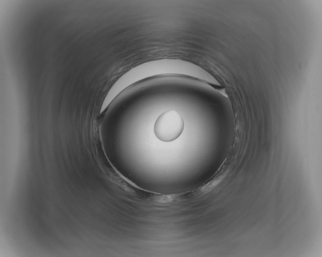 X0000110910096200906251407