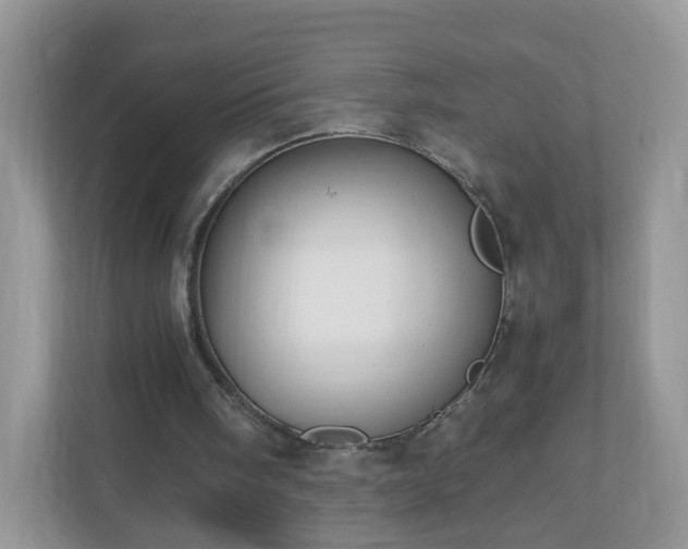 X0000110910098200906251406