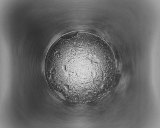 X0000110910099200906251406