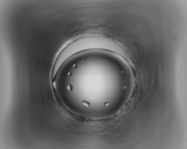 X0000110910100200906251406