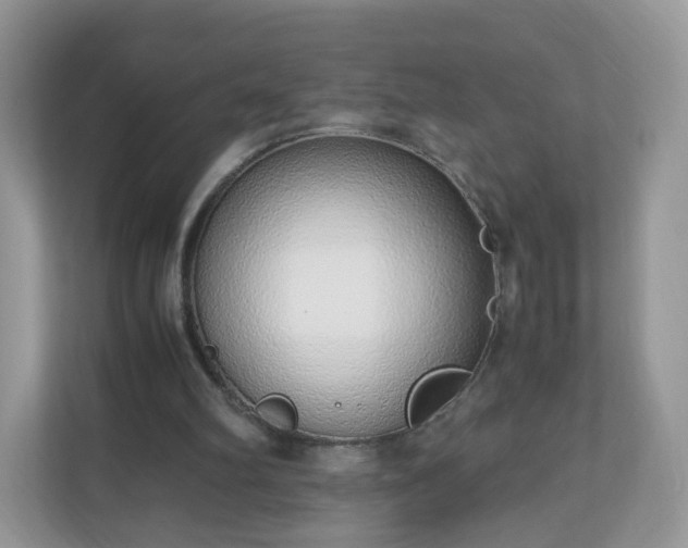 X0000110910102200906251406