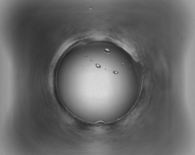 X0000110910103200906251406