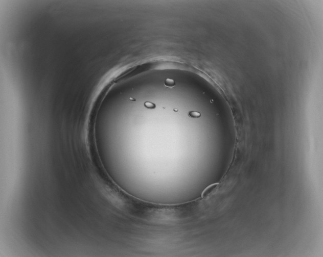 X0000110910104200906251406