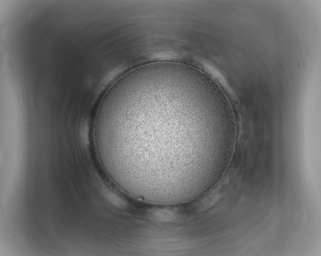 X0000110910106200906251406