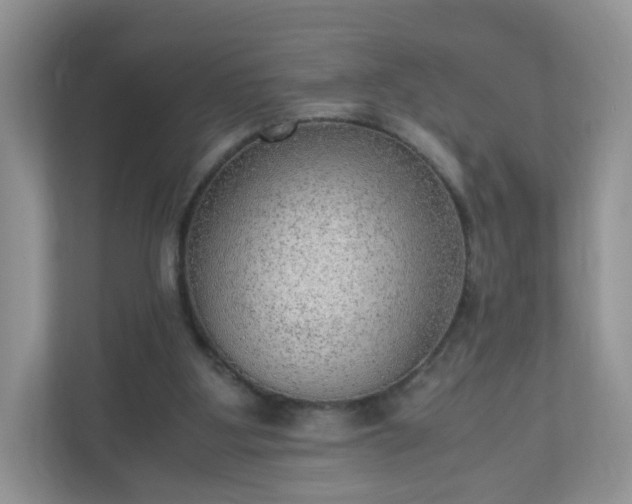 X0000110910107200906251406