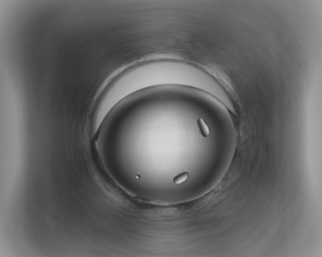 X0000110910108200906251406