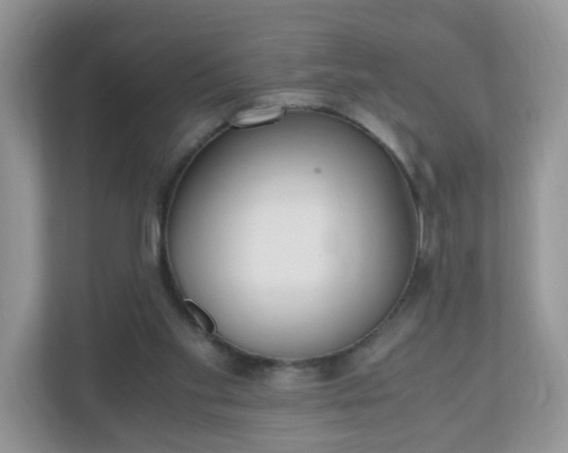 X0000110910109200906251406