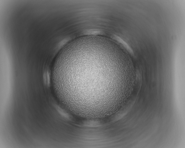 X0000110910110200906251406