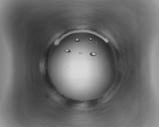 X0000110910116200906251406