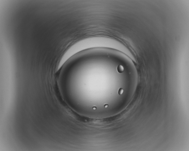 X0000110910121200906251406