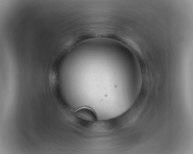 X0000110910123200906251406