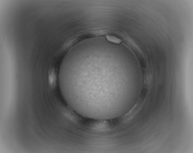 X0000110910124200906251406