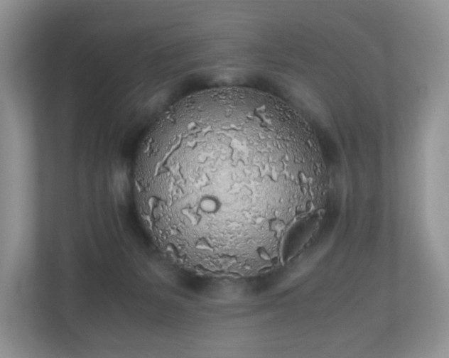 X0000110910127200906251406