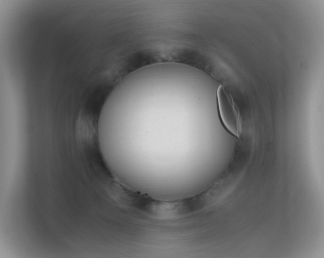 X0000110910129200906251406