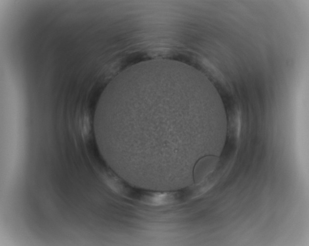 X0000110910130200906251406