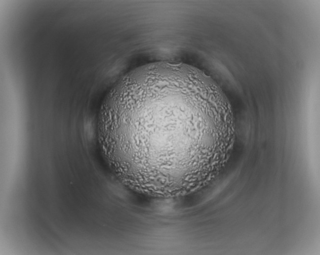 X0000110910131200906251406