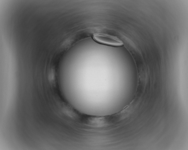 X0000110910132200906251405