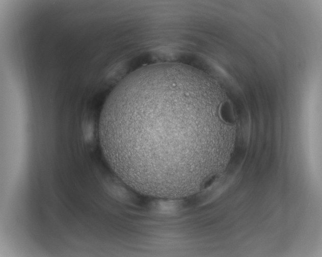 X0000110910134200906251405