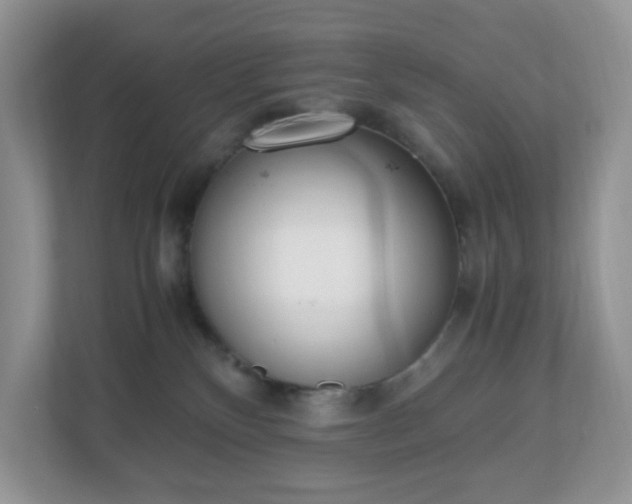 X0000110910136200906251405