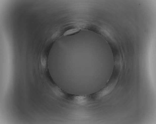 X0000110910139200906251405