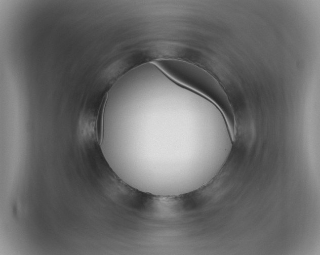 X0000110910141200906251405