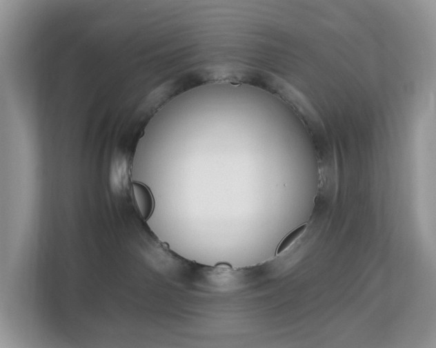 X0000110910142200906251405