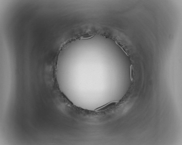 X0000110910144200906251405