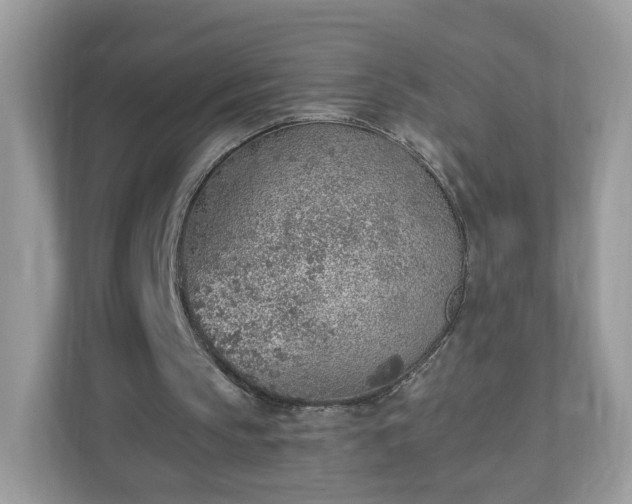 X0000110910145200906251405