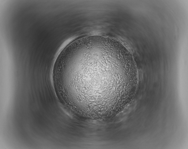 X0000110910147200906251405