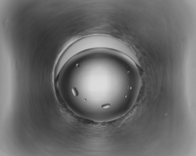 X0000110910148200906251405