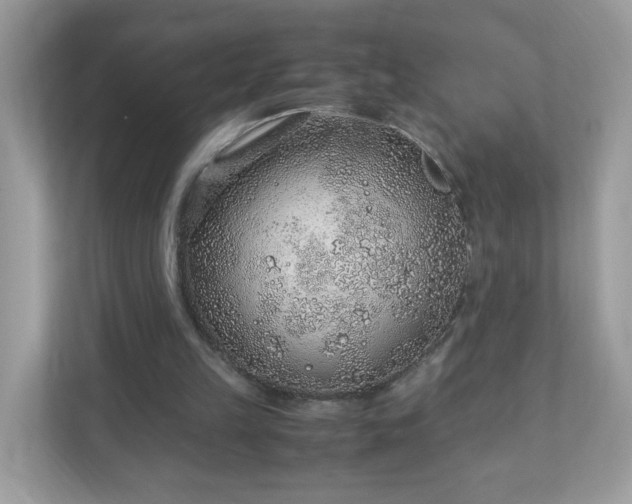 X0000110910149200906251405