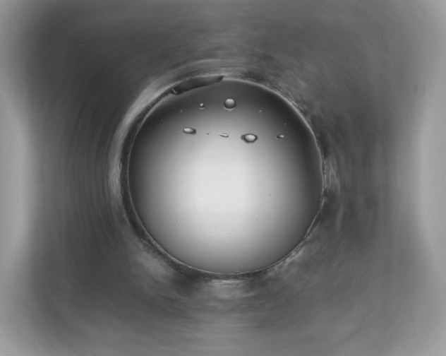 X0000110910150200906251405