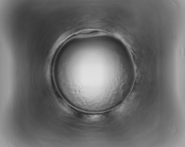 X0000110910151200906251405