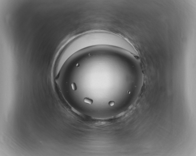 X0000110910152200906251405