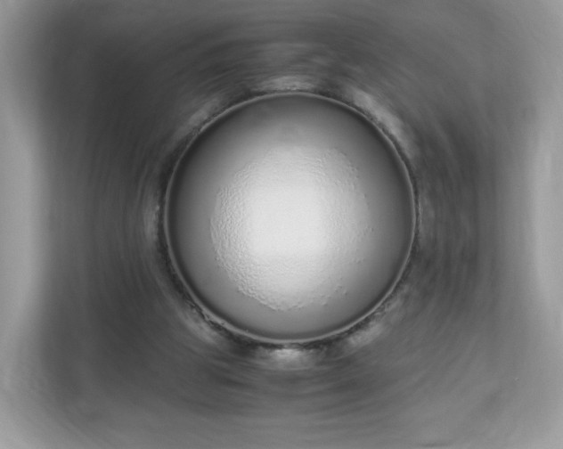 X0000110910153200906251405